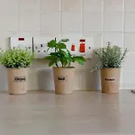 公寓 Melania Gardens Klorakas