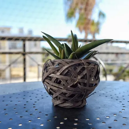 Melania Gardens Klorakas