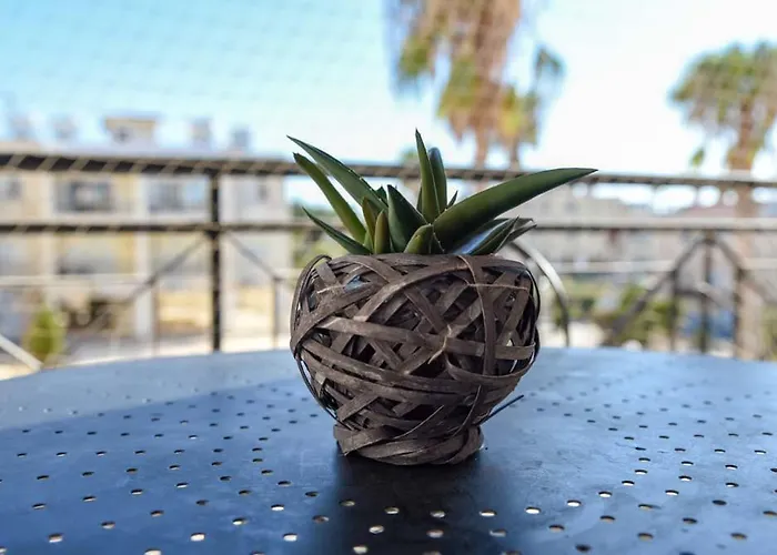 Melania Gardens Klorakas